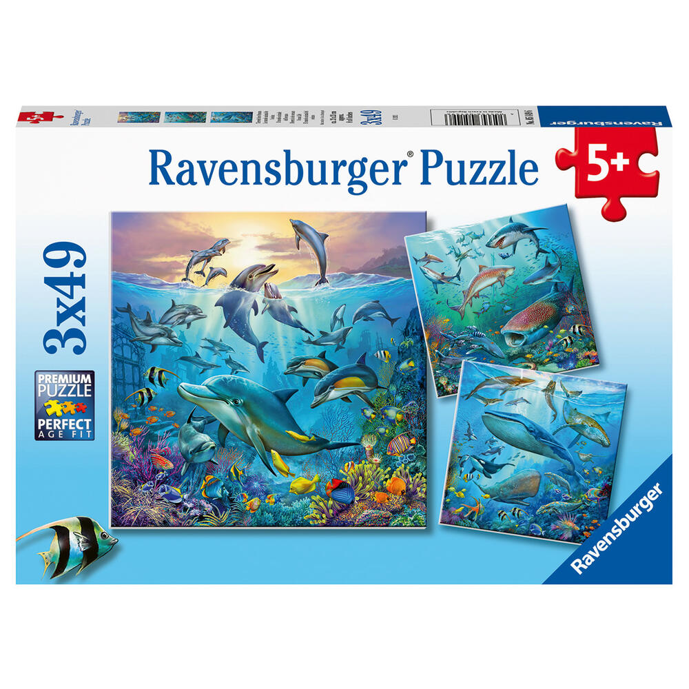 Puzzle Tierwelt des Ozeans