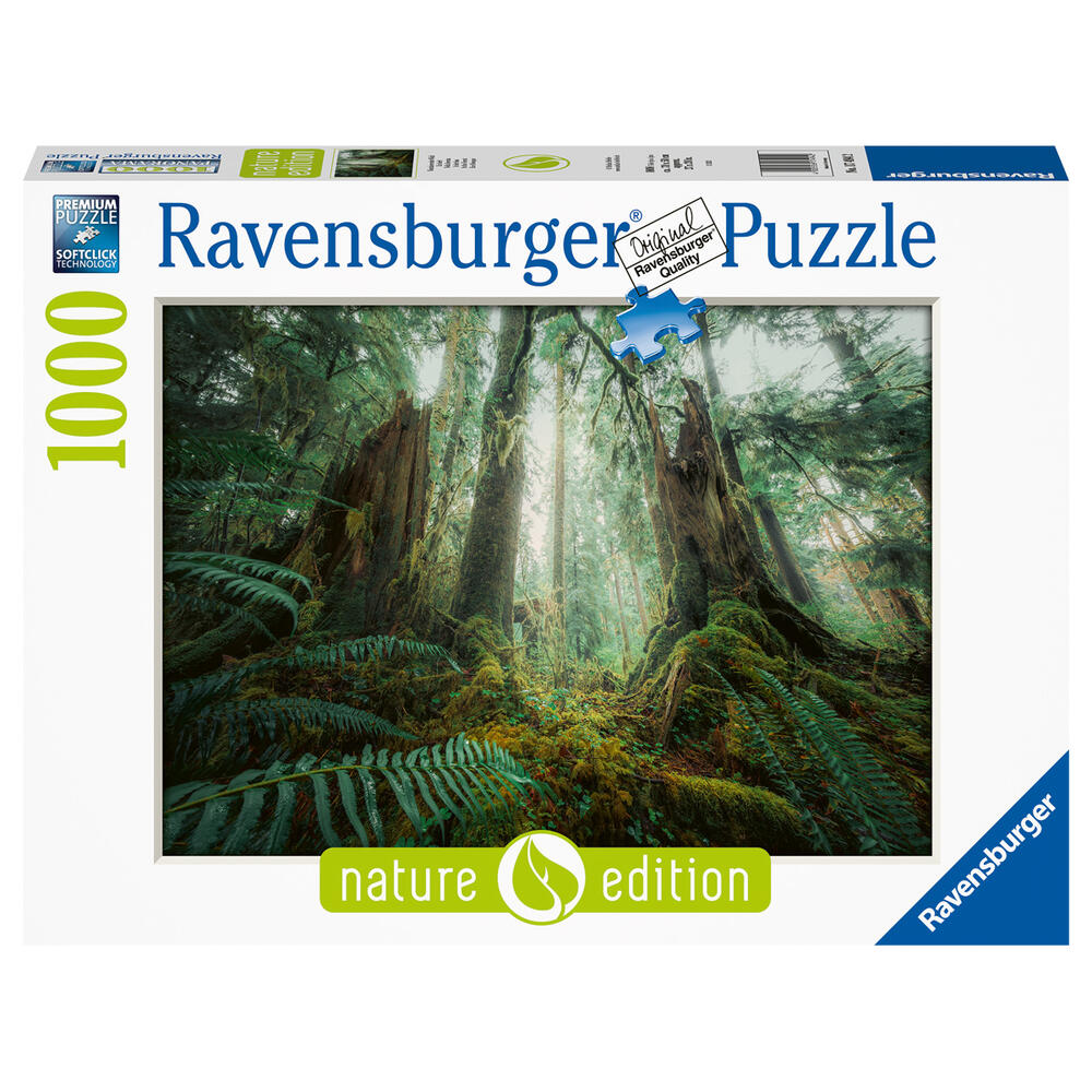 Puzzle Faszinierender Wald