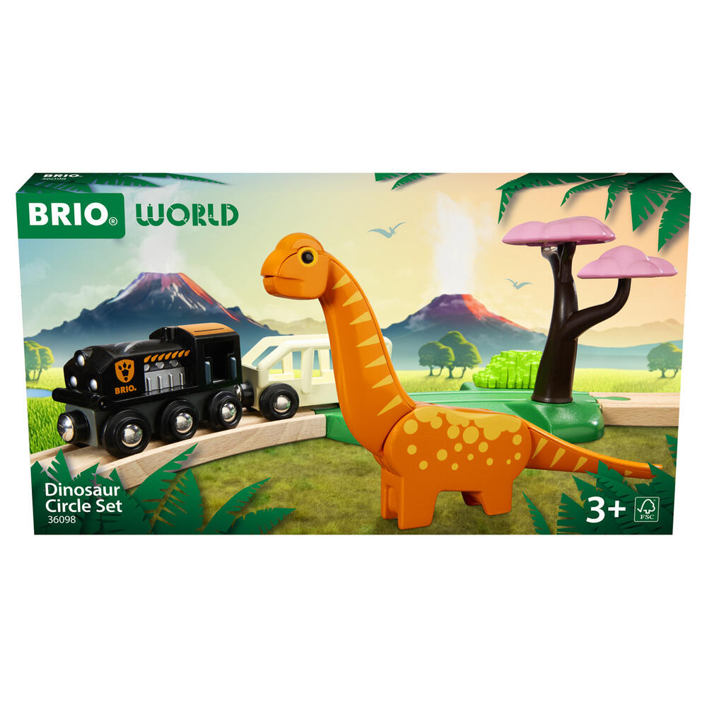 Dinosaur Circle Set