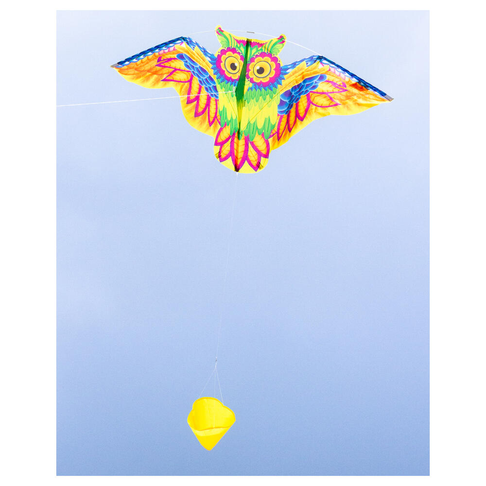 Drachen Flashy Owl Kite