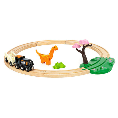 Dinosaur Circle Set