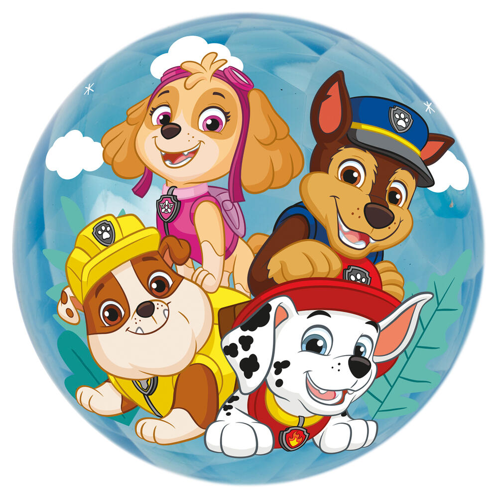 Ball Light Up Paw Patrol (24)