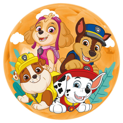 Ball Light Up Paw Patrol (24)