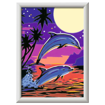 CreArt Dolphin Adventures, d/f/i